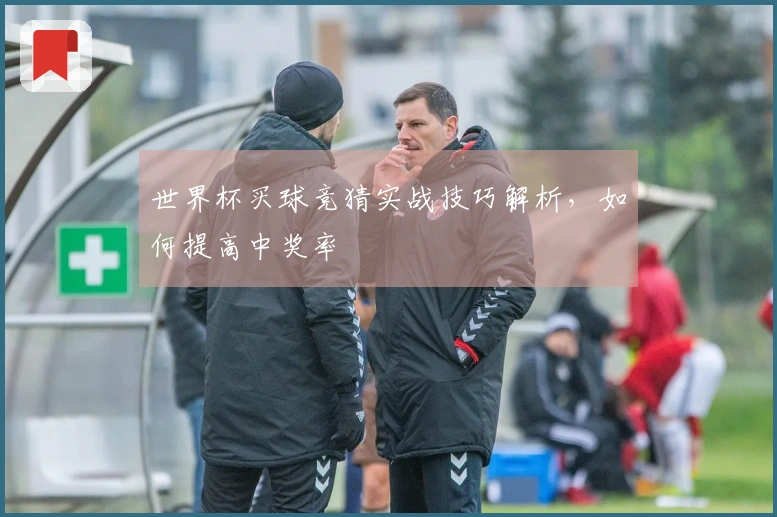 世界杯买球竞猜实战技巧解析，如何提高中奖率