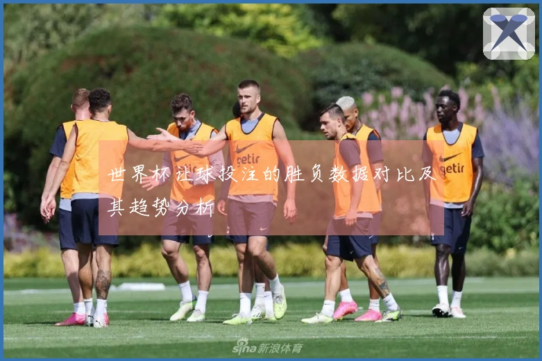 世界杯让球投注的胜负数据对比及其趋势分析