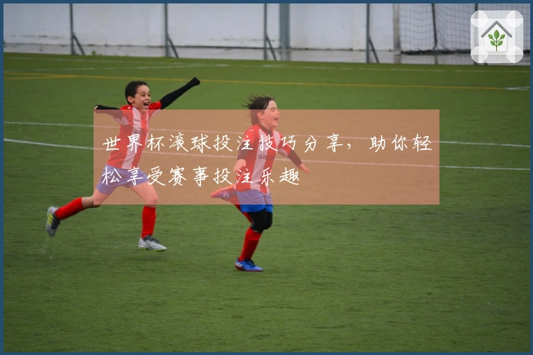 世界杯滚球投注技巧分享，助你轻松享受赛事投注乐趣