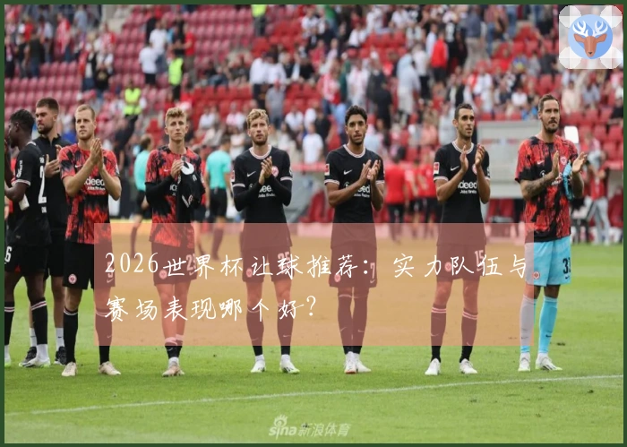 2026世界杯让球推荐：实力队伍与赛场表现哪个好？
