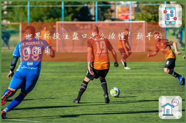 世界杯投注盘口怎么读懂？新手必看指南
